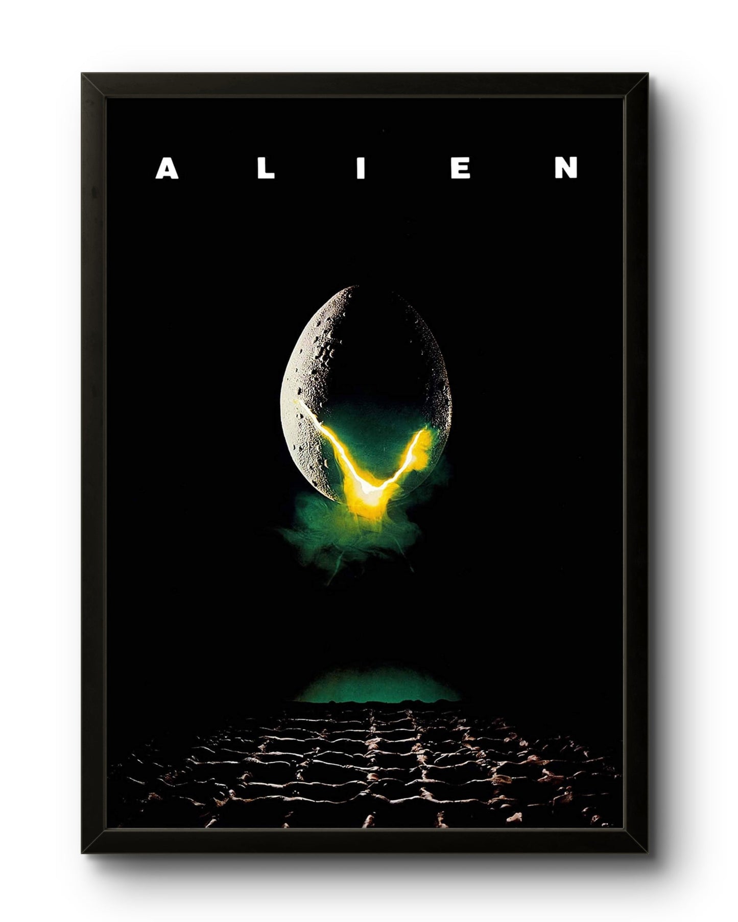 Alien, o Oitavo Passageiro (1979) / Full Canvas