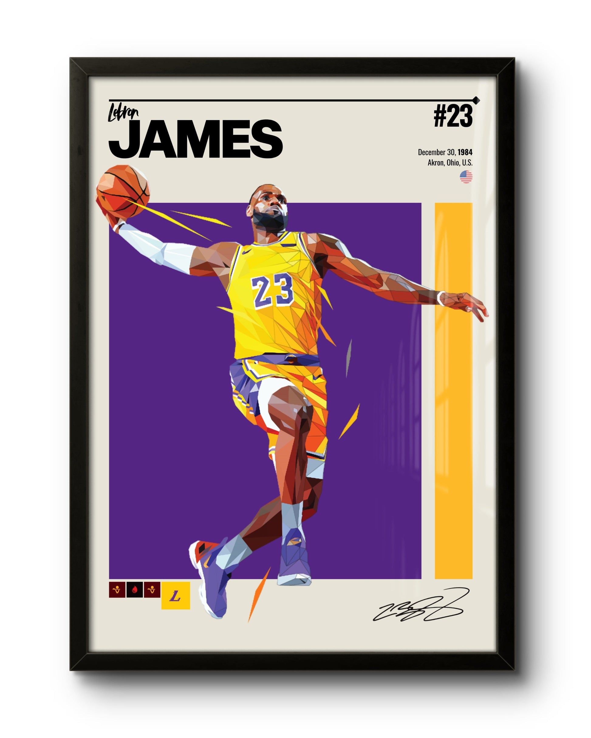 Lebron James / Los Angeles Lakers (NBA)