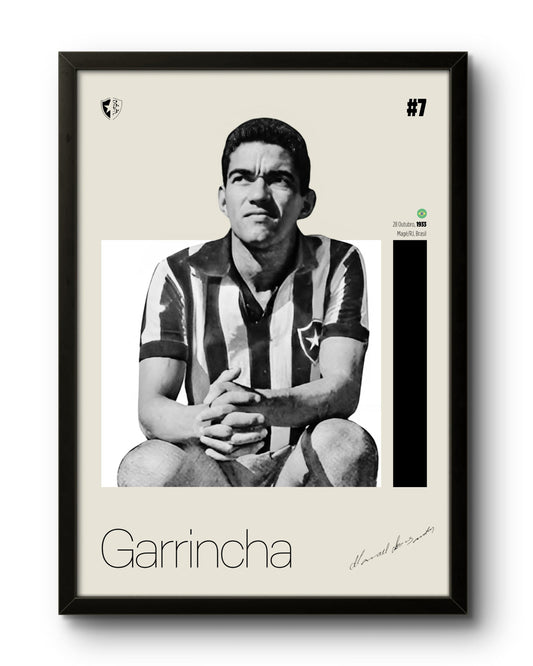 Garrincha (BFR)